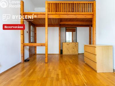 Prodej bytu 3+1 Ústí nad Labem, Elišky Krásnohorské č. 28