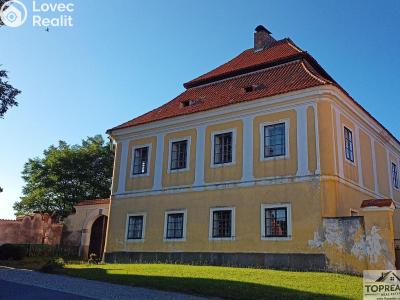 Продаж вілли Orlík nad Vltavou č. 11