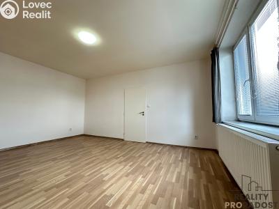 Pronájem bytu 1+1 Ostrava, Mexická č. 6