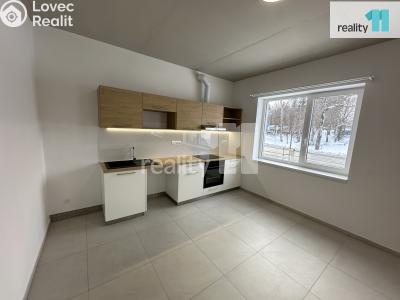 Rent apartment 2+KK Humpolec, V Brance č. 4