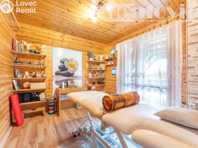 Продаж сімейного будинку Chotusice č. 17