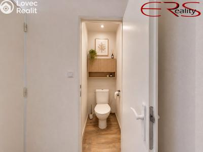 Pronájem bytu 1+1 Liberec, Nad Školou č. 10