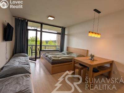 Sale apartment 1+KK Stachy, Zadov 352 č. 10