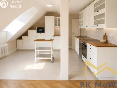 Rent apartment 4+KK Praha, Vězeňská č. 1