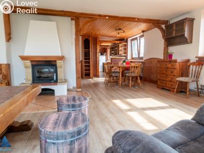 Rent apartment 3+KK Horní Branná č. 4