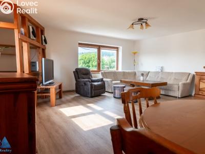 Rent apartment 3+KK Horní Branná č. 7