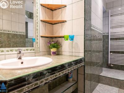Rent apartment 3+KK Horní Branná č. 19