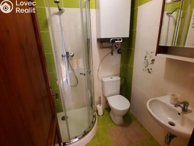 Rent apartment 2+KK Vítkovice č. 10