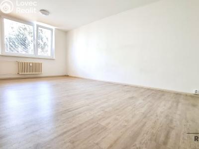 Sale apartment 4+1 Vyškov, Sídliště Osvobození č. 1