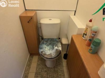 Pronájem bytu 3+1 Planá, Bohušova č. 9
