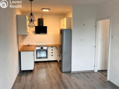 Pronájem bytu 1+1 Litvínov, Přátelství 246 č. 2