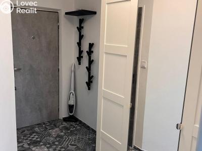 Pronájem bytu 1+1 Litvínov, Přátelství 246 č. 6