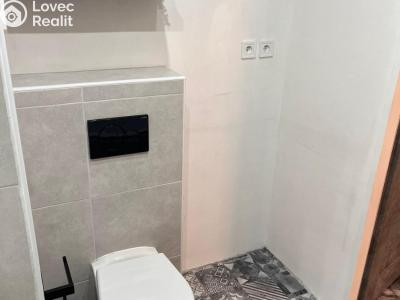 Pronájem bytu 1+1 Litvínov, Přátelství 246 č. 8