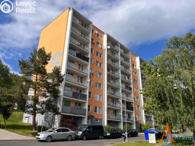 Pronájem bytu 1+1 Litvínov, Přátelství 246 č. 10