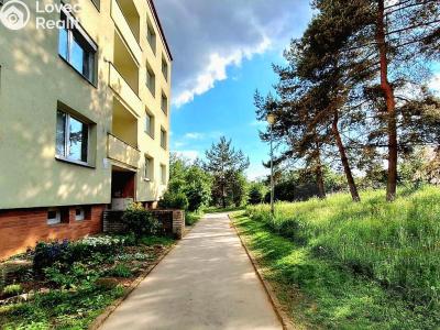 Pronájem bytu 2+1 Brno, Stamicova č. 15