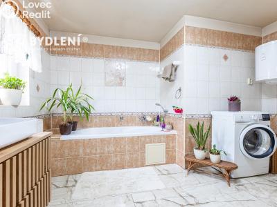 Prodej rodinného domu Čížkovice, Havlíčkova 38 č. 6
