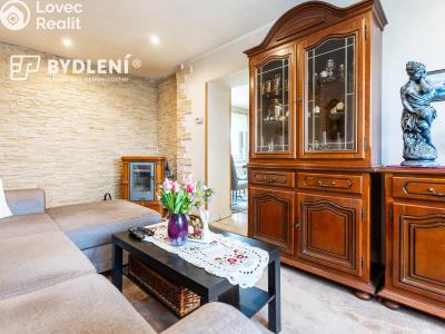 Prodej rodinného domu Čížkovice, Havlíčkova 38 č. 9