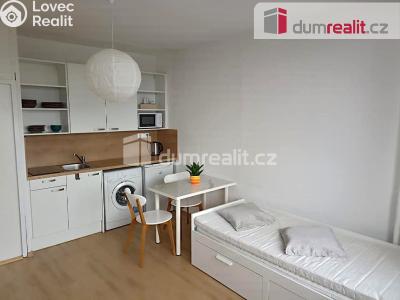 Pronájem bytu 1+KK Ústí nad Labem, Hoření č. 1