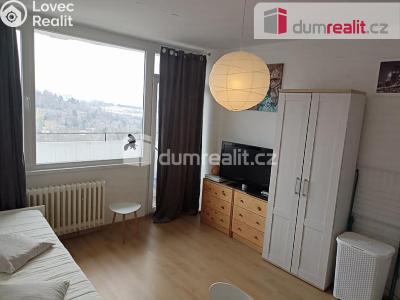Pronájem bytu 1+KK Ústí nad Labem, Hoření č. 2