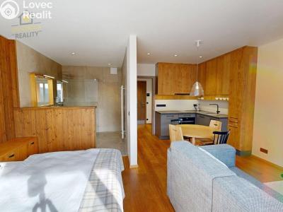 Prodej apartmánů Vítkovice č. 8