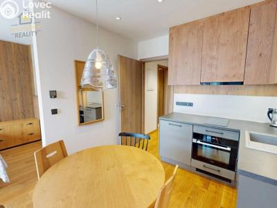 Prodej apartmánů Vítkovice č. 10