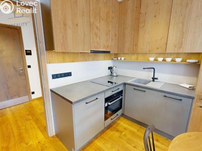 Продаж квартири 1+KK Vítkovice č. 13