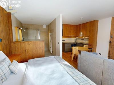 Продаж квартири 1+KK Vítkovice č. 14