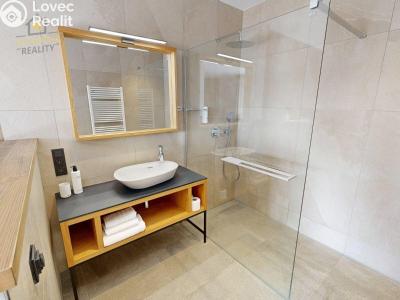 Продаж квартири 1+KK Vítkovice č. 16
