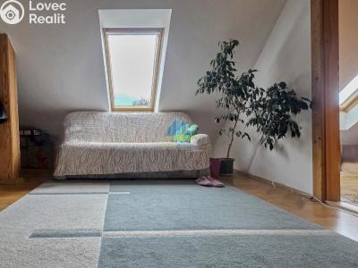 Sale multi-gen house Josefov č. 16