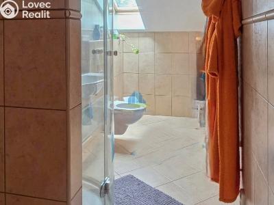 Sale multi-gen house Josefov č. 21