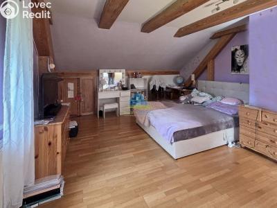 Sale multi-gen house Josefov č. 24