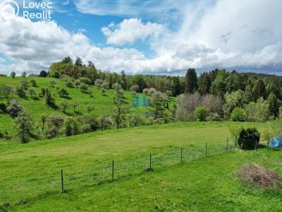 Sale multi-gen house Josefov č. 30