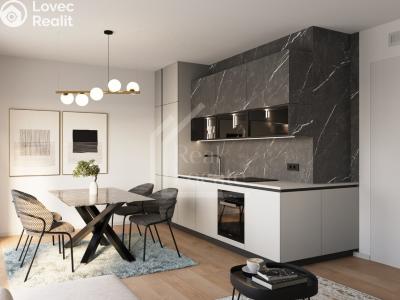 Rent apartment 2+KK Praha, Košická č. 1
