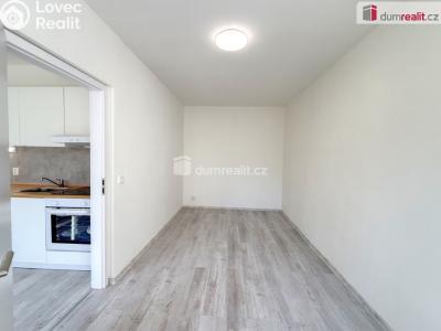 Pronájem bytu 1+1 Ústí nad Labem, Purkyňova č. 7