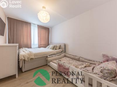 Prodej bytu 3+1 Štětí, Mánesova č. 7