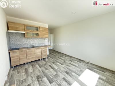 Pronájem bytu 1+1 Klášterec nad Ohří, Družstevní č. 3