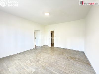Pronájem bytu 2+1 Ústí nad Labem, Bratří Mrštíků č. 10