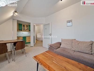 Sale apartment 2+1 Harrachov č. 5