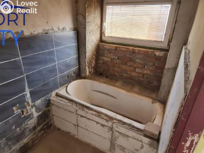 Продаж сімейного будинку Víceměřice č. 10