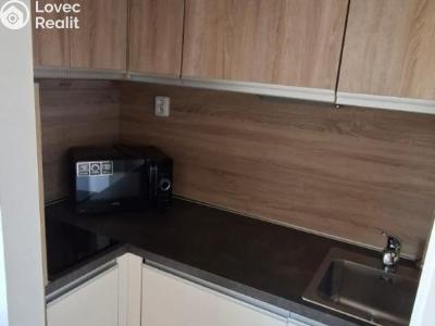 Pronájem bytu 1+KK Ostrava, Spartakovců č. 12
