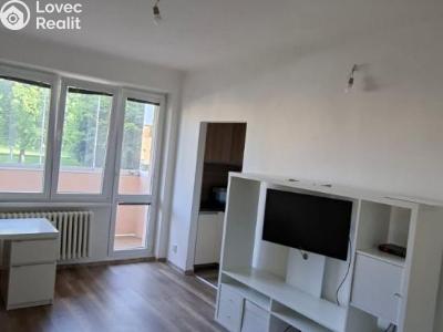 Pronájem bytu 1+KK Ostrava, Spartakovců č. 4