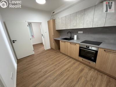 Pronájem bytu 2+1 Šťáhlavy, Dr. Holuba 111 č. 2