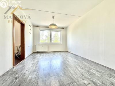 Pronájem bytu 3+1 Týn nad Vltavou, Hlinecká 725 č. 3