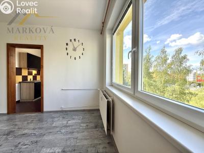 Pronájem bytu 3+1 Týn nad Vltavou, Hlinecká 725 č. 4
