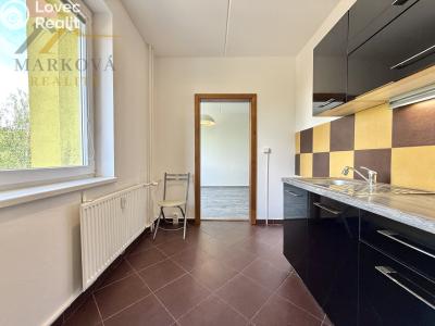 Pronájem bytu 3+1 Týn nad Vltavou, Hlinecká 725 č. 9
