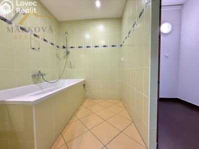 Pronájem bytu 3+1 Týn nad Vltavou, Hlinecká 725 č. 11