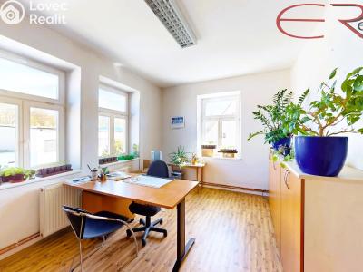 Продаж багатогенного будинку Frýdlant, ČSA č. 14