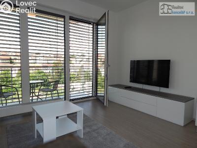 Pronájem bytu 1+KK Brno, Střední č. 1