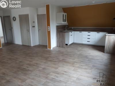 Rent apartment 3+KK Děčín, Slovanská č. 3