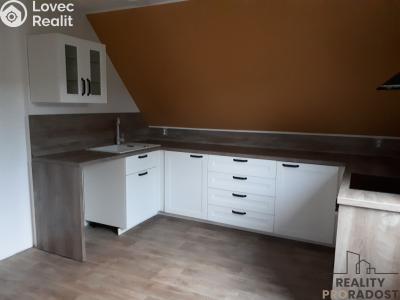 Rent apartment 3+KK Děčín, Slovanská č. 4